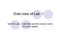 Overview of Lab. 1