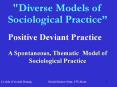 "Diverse Models of Sociological Practice