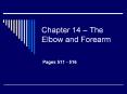 Chapter 14 
