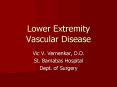 Lower Extremity Vascular Disease