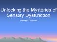 Unlocking the Mysery of Sensory Dsfunction