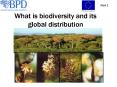 What is biodiversity and its global distribution