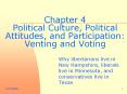 Chapter 4 Political Culture, Political Attitudes, and Participation: Venting and Voting
