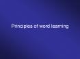 Principles of word learning