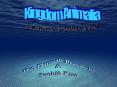 Kingdom Animalia Invertebrates Chordates