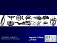 Diversification in sexuals and asexuals