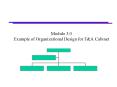 Module 3.0 Example of Organizational Design for F