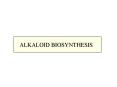 ALKALOID BIOSYNTHESIS
