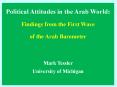 Political Attitudes in the Arab World: Findings from the First Wave
