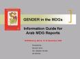 GENDER in the MDGs Information Guide for Arab MDG Reports RCM Meeting, Beirut, 1314 September 2008