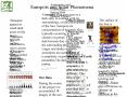 Sunspots and Solar Phenomena Jake Sarrantonio, Eddie Janicki, John Samson, Jon Germano