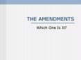 THE AMENDMENTS