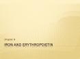 Iron and Erythropoietin