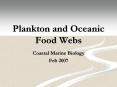 Plankton and Oceanic Food Webs