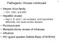 Pathogenic Viruses continued