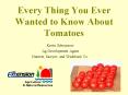 Every Thing You Ever Wanted to Know About Tomatoes