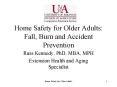 Home Safety for Older Adults: Fall, Burn and Accident Prevention