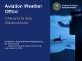Aviation Weather Office