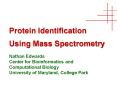 Protein Identification Using Mass Spectrometry