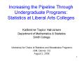 Increasing the Pipeline Through Undergraduate Programs: Statistics at Liberal Arts Colleges