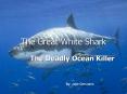 The Great White Shark