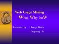 Web Usage Mining What, Why, hoW