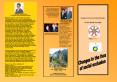Presentacin de PowerPoint