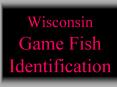 Wisconsin Game Fish Identification