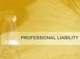 PROFESSIONAL LIABILITY
