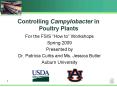Controlling Campylobacter in Poultry Plants