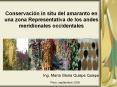 INIA: PERFIL DE UN NUEVO ENFOQUE