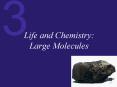Life and Chemistry: Large Molecules