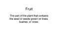 Fruit
