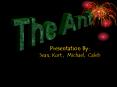 The Ant