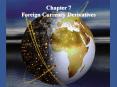 Foreign Currency Derivatives