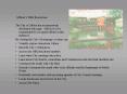 The City of Albion has an extensively developed web page. Albion is to be commended for its superb e