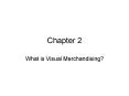 What is Visual Merchandising