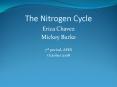 The Nitrogen Cycle