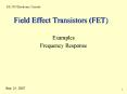 Field Effect Transistors FET