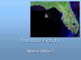 The Real Florida