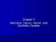 Narcotics: Opium, Heroin, and Synthetic Opiates