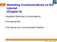 Marketing Communications on the Internet Chapter 6