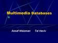 Multimedia Databases