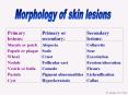 Morphology of skin lesions