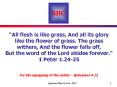 All flesh is like grass, And all its glory like the flower of grass' The grass withers, And the flow