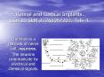 Retinal and Cortical Implants' Stat 19 SEM 2' 263057202' Talk 4'
