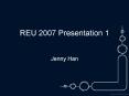 REU 2007 Presentation 1