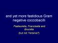 and yet more fastidious Gram negative coccobacilli