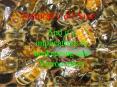And its implications to beekeeping and Varroa mites