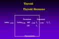 Thyroid